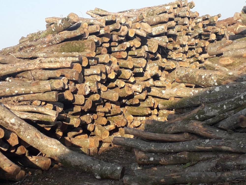 bois chauffage extérieur