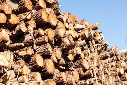 bois chauffage pile de bois